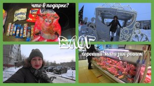 VLOG подвох от МТС/закрыла счёт /зашли в Континент/шикарная зима, прогулка в Новокузнецке