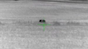 Thermal Hunting (Atn Thor 4 640)