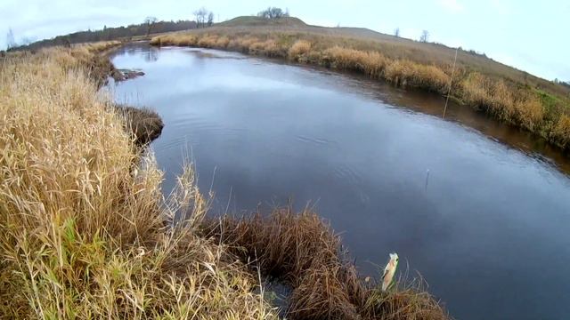 Три дня Очень трудовой рыбалки. Охота за шнурками смотреть онлайн