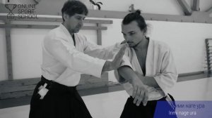 АЙКИДО. Урок 5.5.2: Ирими наге ура (Ай ханми)