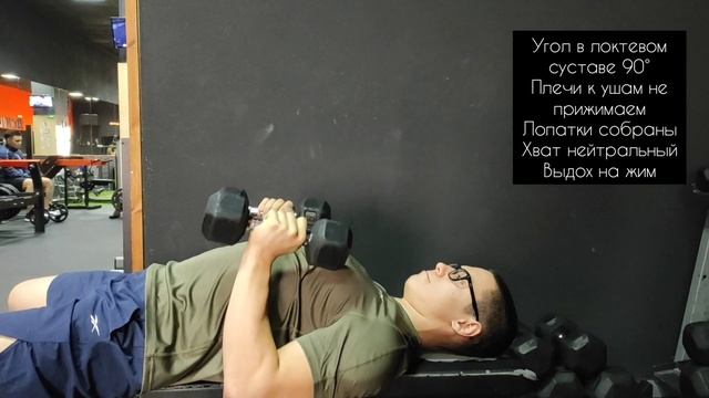 Жим гантелей лежа нейтральным хватом смотреть онлайн