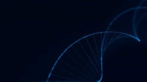 Настоящая Матрица П.П.  Гаряева  Исцеление Костей, Сосудов, Мышц