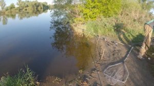 ОТКРЫТИЕ СЕЗОНА 2021 ПО ЖИДКОЙ ВОДЕ. СУДАК НА НАРЕЗКУ С БЕРЕГА.РЕКА ТОБОЛ - КУРГАНСКАЯ ОБЛАСТЬ.