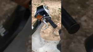 Обзор на Хонда пал аф 17 50 кубов