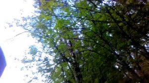 замена масла в скутере Минск ТМ 49 на 300 км