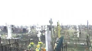 Могила Саши Козлова