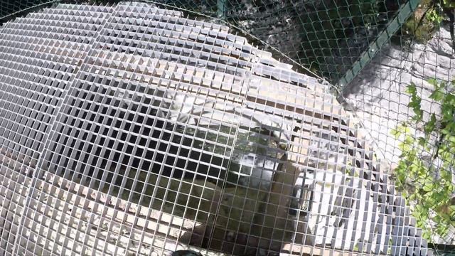 Прогулка к водопаду Кинчха возле Кутаиси, Грузия - июнь 2021 смотреть онлайн