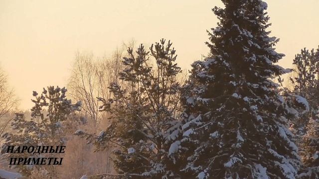 13 января  Васильевский вечер! Народные приметы в ночь на старый новый год! Гороскоп на 13-е!
