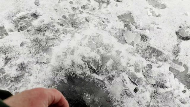 Набомбили белой рыбы на гирлянду#рыбалканаднепре #зимняярыбалка