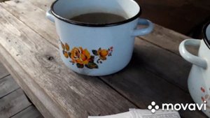 ОБРАБАТЫВАЮ РОЗЫ, плодовые ДЕРЕВЬЯ, СМОРОДИНУ?БОРДОССКАЯ СМЕСЬ?
