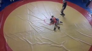 Вольная борьба Полазна Пермский край