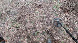 #320 Нечастое серебро  Коп с Nokta Makro Legend