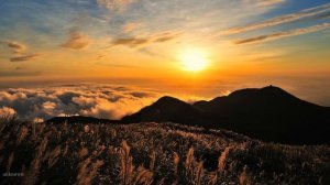 Nikon D700 Sample Pictures | Nikon D700 Photos Part 2