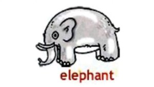 How to Pronounce Elephant in British English