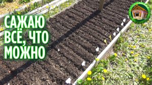 Рискнула высадить овощи на грядки. 281 серия