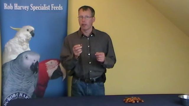 Palm nuts.mpg смотреть онлайн