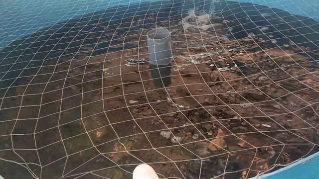 узв сом в теплице чистая вода,ряска смотреть онлайн