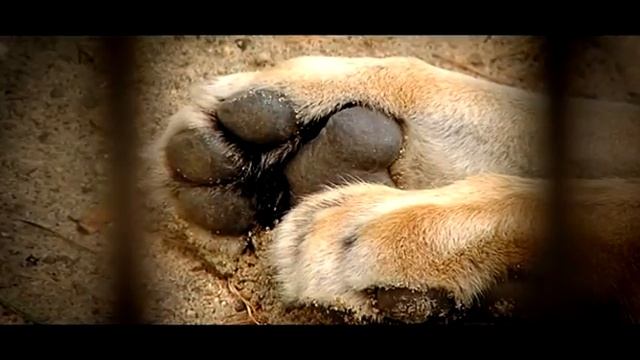 ГОРОД ГДЕ Я! Новосибирск
