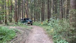 На ЛуАЗе в лес за грибами