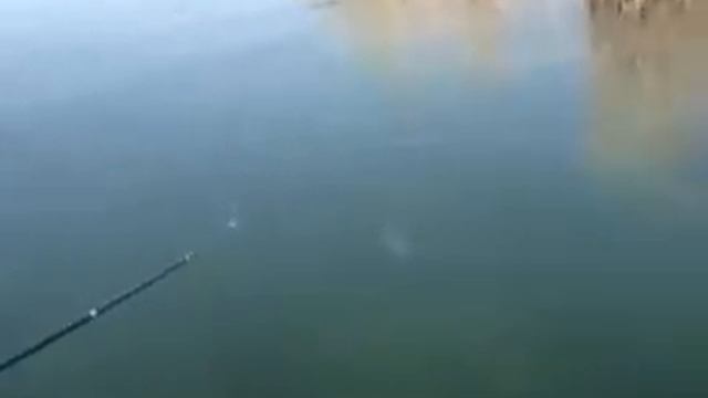 интересная рыбалка на жереха смотреть онлайн