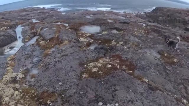 Териберка. Ноябрь 2017.