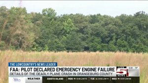 VIDEO: Witness describes seeing Orangeburg County plane crash