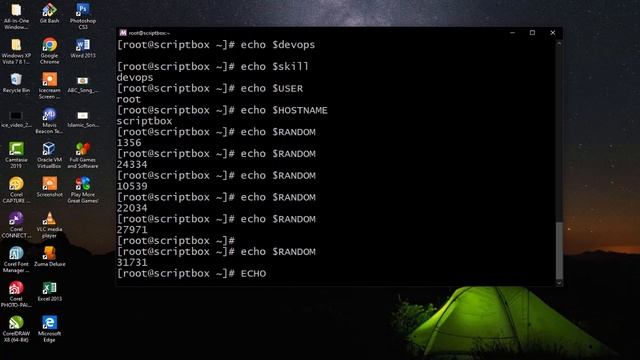 System Variables in Bash Scripting