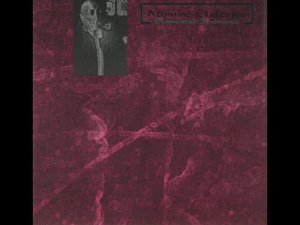 Space Electronic ⨳ Dark Ambient ⨳ Atomine Elektrine ⨳ Elemental Severance (1995)