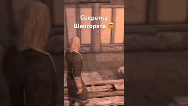 Секретная дверь Шеогората 🤯 Skyrim #skyrim #tesugames #чтобудетесли