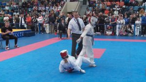 014 Дрягина Таисия 225   Матюшина Арина 472 до 45 кг 12 13 лет