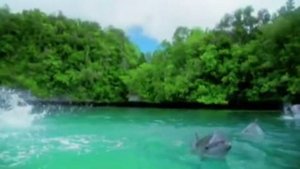 Ирландская музыка