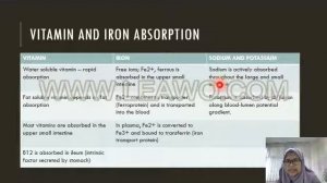 LECTURE LOWER GIT PART I: FUNCTION OF SMALL AND LARGE INTESTINE