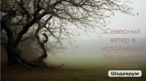 Песня Виктора Цоя, в исполнении Харламова Макара. Северный ветер.