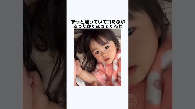 まさきちファミリーの雑学④#雑学 #子供のいる暮らし #年子育児 #あおいちゃん #すみれちゃん #子育て奮闘中