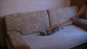 Счастье это так просто.