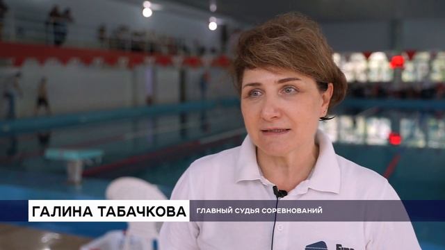 Краевой турнир по плаванию состоялся на прикумской земле. смотреть онлайн