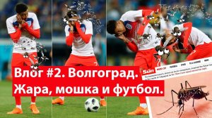Влог #2. Волгоград. Чемпионат мира по футболу