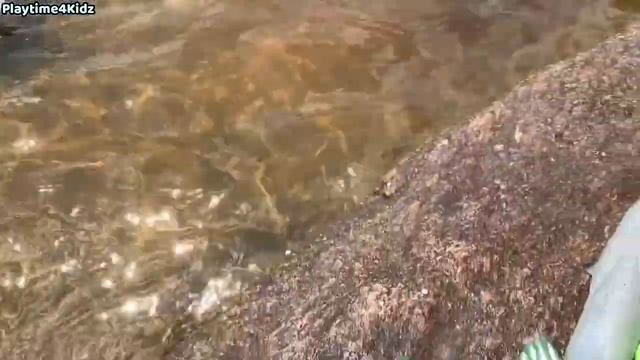 Морские животные игрушки (для детей) смотреть онлайн