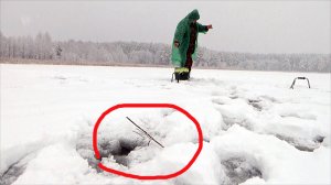 Испытания новой полуснасти по плотве! 36 серия