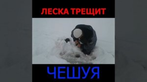 Ух, ты