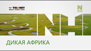 Смотрите в сети TELENET: с 3 мая в 16:00 на Viasat Nature «Бескрайняя Африка» 16+