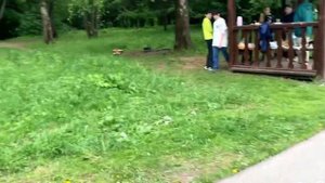 Один из самых красивых парков Москвы-Тропаревский лесопарк