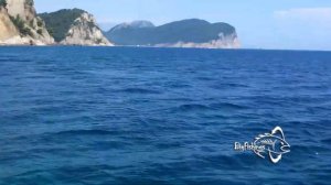 Рыбалка в Черногории