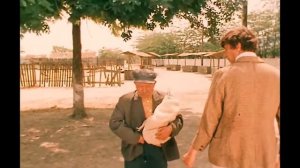 Зеленый фургон 1983 online