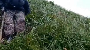 Мыс Елизаветы Сахалин 2020