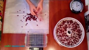 Сушка кизила