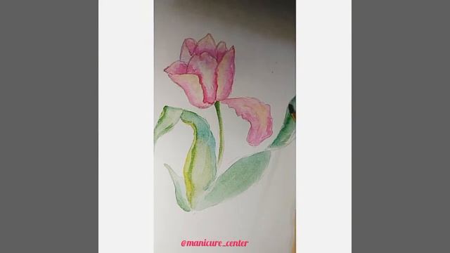 Рисунки цветов (Тюльпан) смотреть онлайн