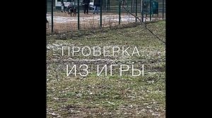 Дрессировка Эрдельтерьера.С Вами кинолог Севастьянова Наталья и «Мир глазами собак «