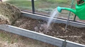 Что надо сделать, чтобы не было фитофторы.mp4