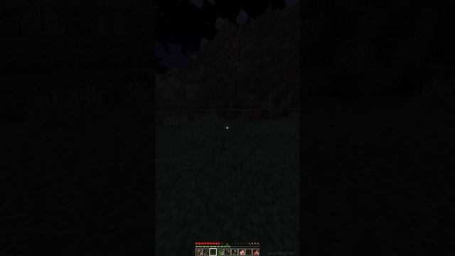 Беги быстрей Minecraft #shorts